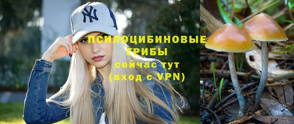дживик Нея
