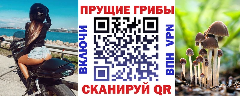 площадка наркотические препараты  Сельцо  Псилоцибиновые грибы ЛСД 